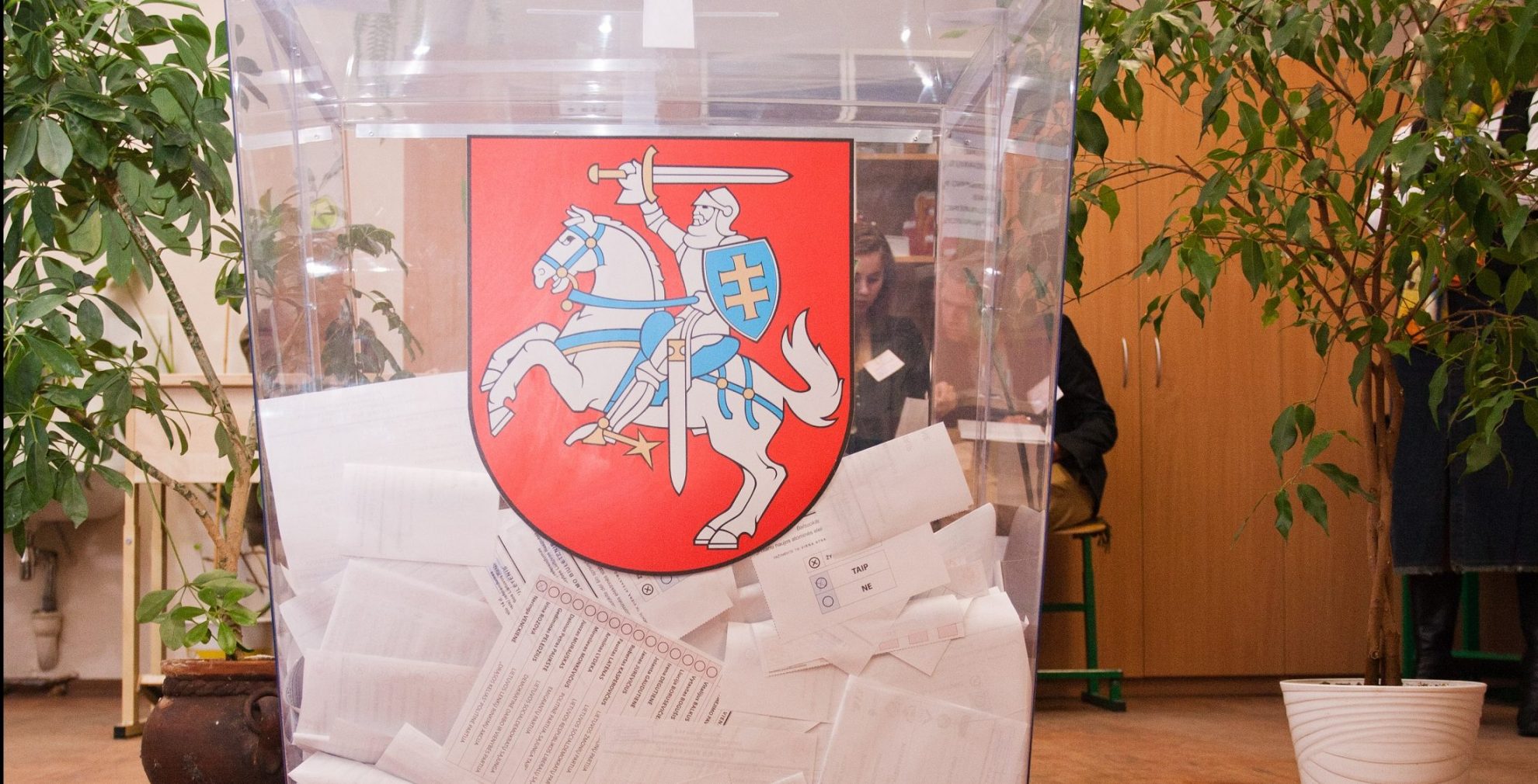 Vyriausiosios rinkimų komisijos (VRK) internetiniame puslapyje oficialiai skelbiama naujų Seimo rinkimų Anykščių-Panevėžio apygardoje data.