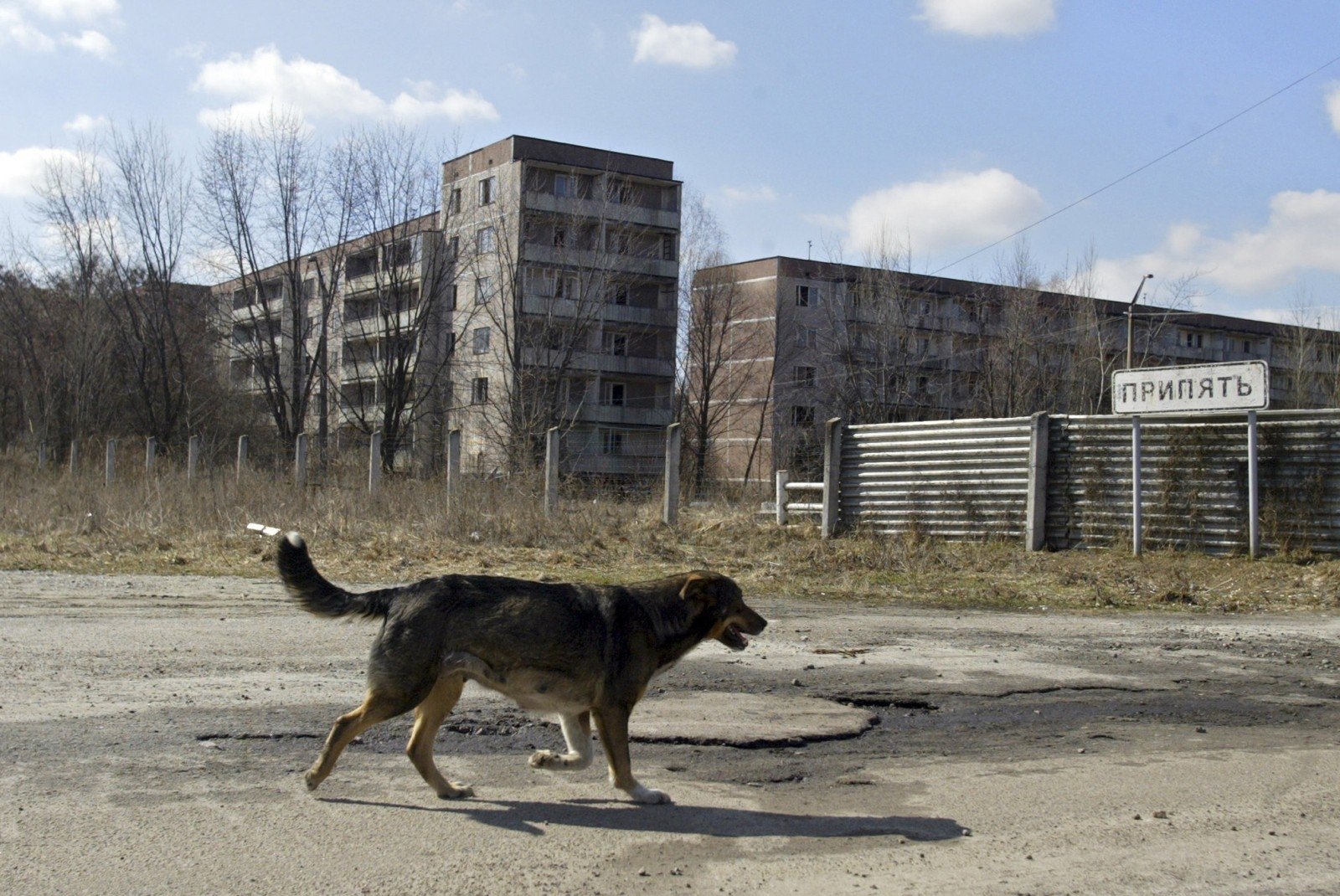 Prieš trisdešimt vienerius metus dalyvavę likviduojant Černobylio avariją žmonės to pasekmes jaučia iki šiol, tai atsiliepia ir jų šeimoms.
