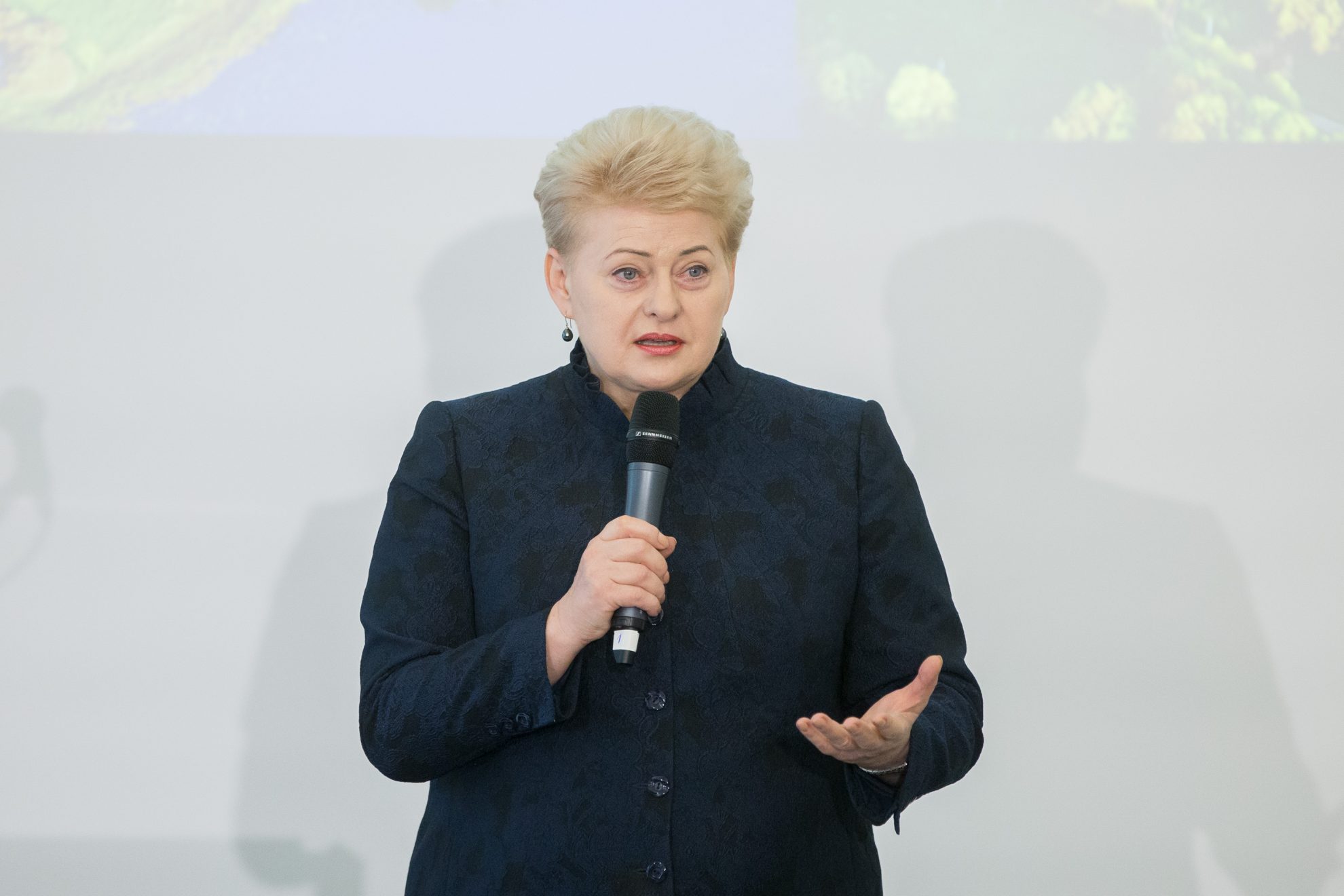 D.Grybauskaite-tikisi-socialiai-orientuoto-salies-biudzeto