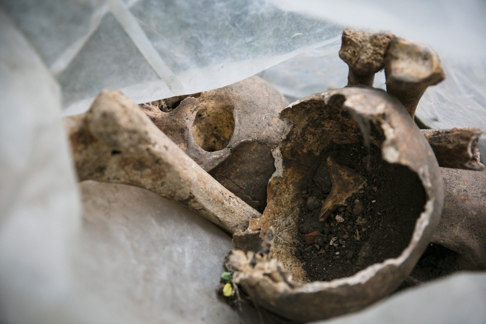 Penktadienio popietę Paįstryje buvo rastas kraupus radinys – ne vieno žmogaus kaulai bei kaukolės fragmentai. Aiškinamasi, kokio amžiaus šie palaikai bei kaip jie atsirado.