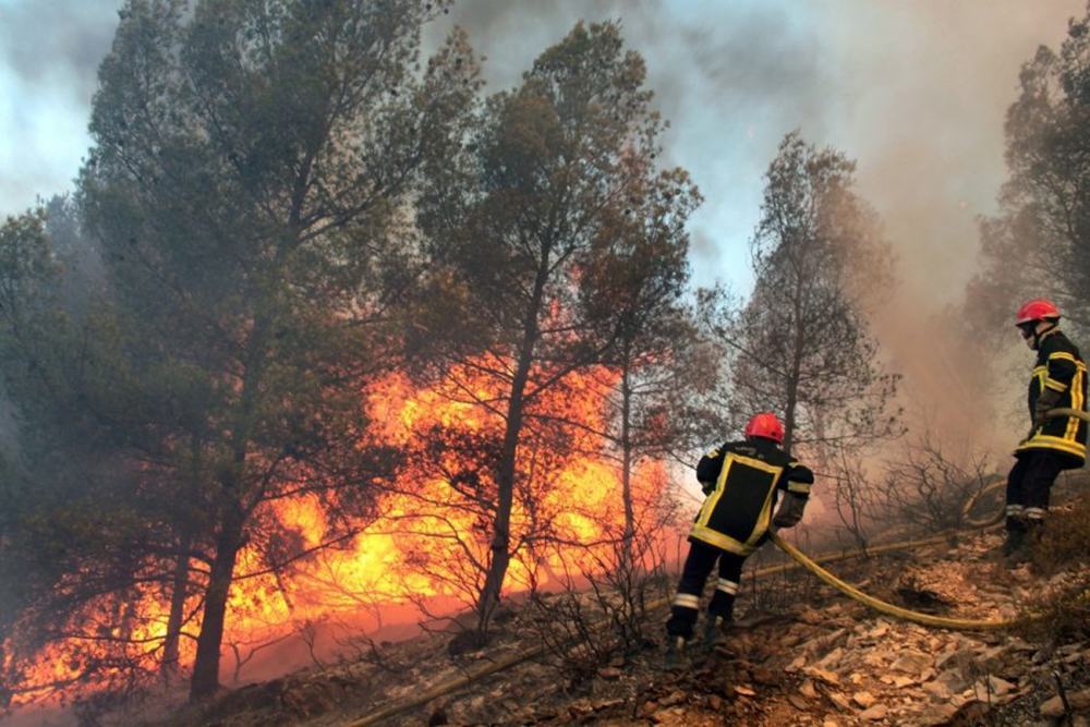 VĮ Valstybinių miškų urėdija praneša, kad Lietuvoje ilgą laiką tvyrant karštiems ir sausiems orams, miško gaisrų tikimybė išlieka labai didelė. Valstybinių miškų urėdijos Jonavos regioninio padalinio Gaižiūnų girininkijoje savaitgalį mišką niokojo gaisras – gesinimo darbai truko dvi paras, išdegė 8,5 ha miško plotas.