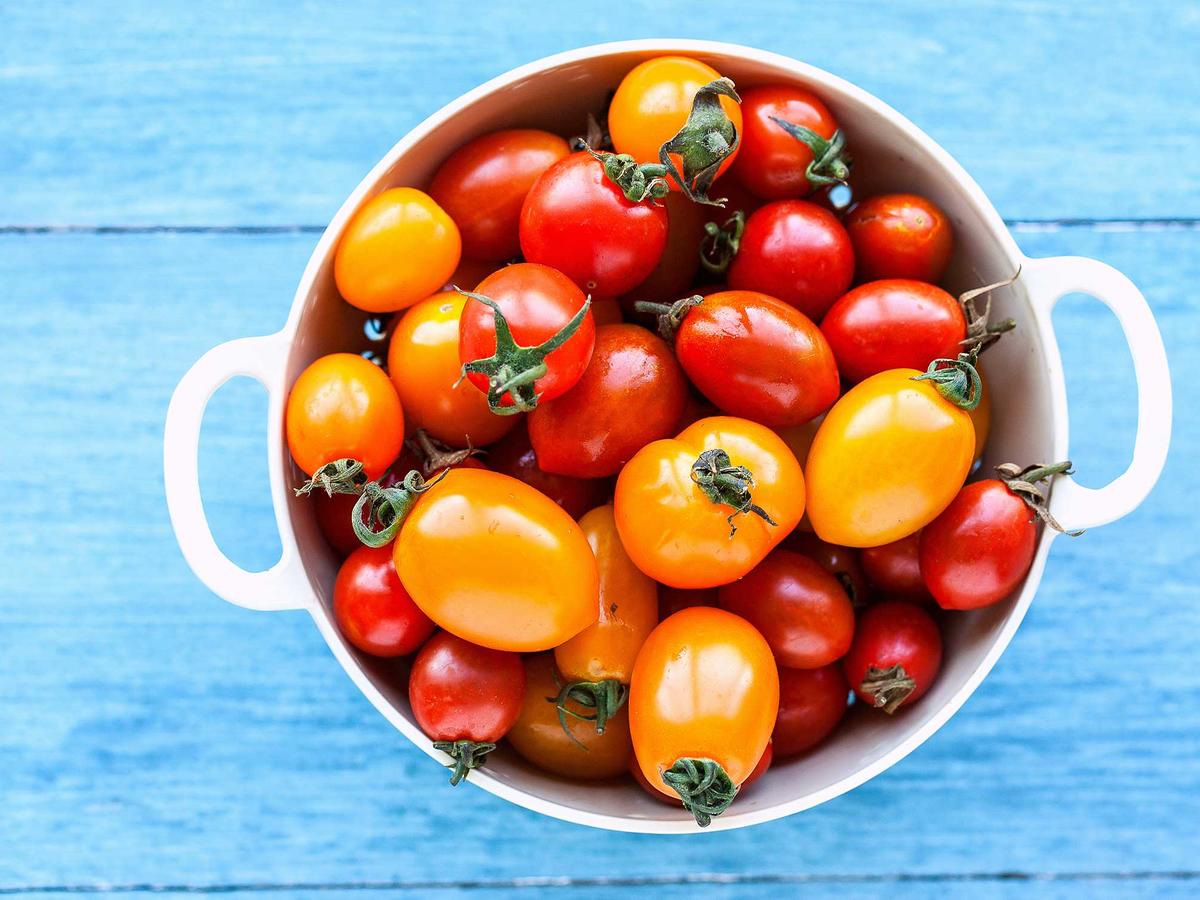 Anksčiau buvo manoma, kad pomidorai netinka vyresniems žmonėms. Mat juose yra oksalo rūgšties. Tačiau dabar mokslininkai tai paneigė.