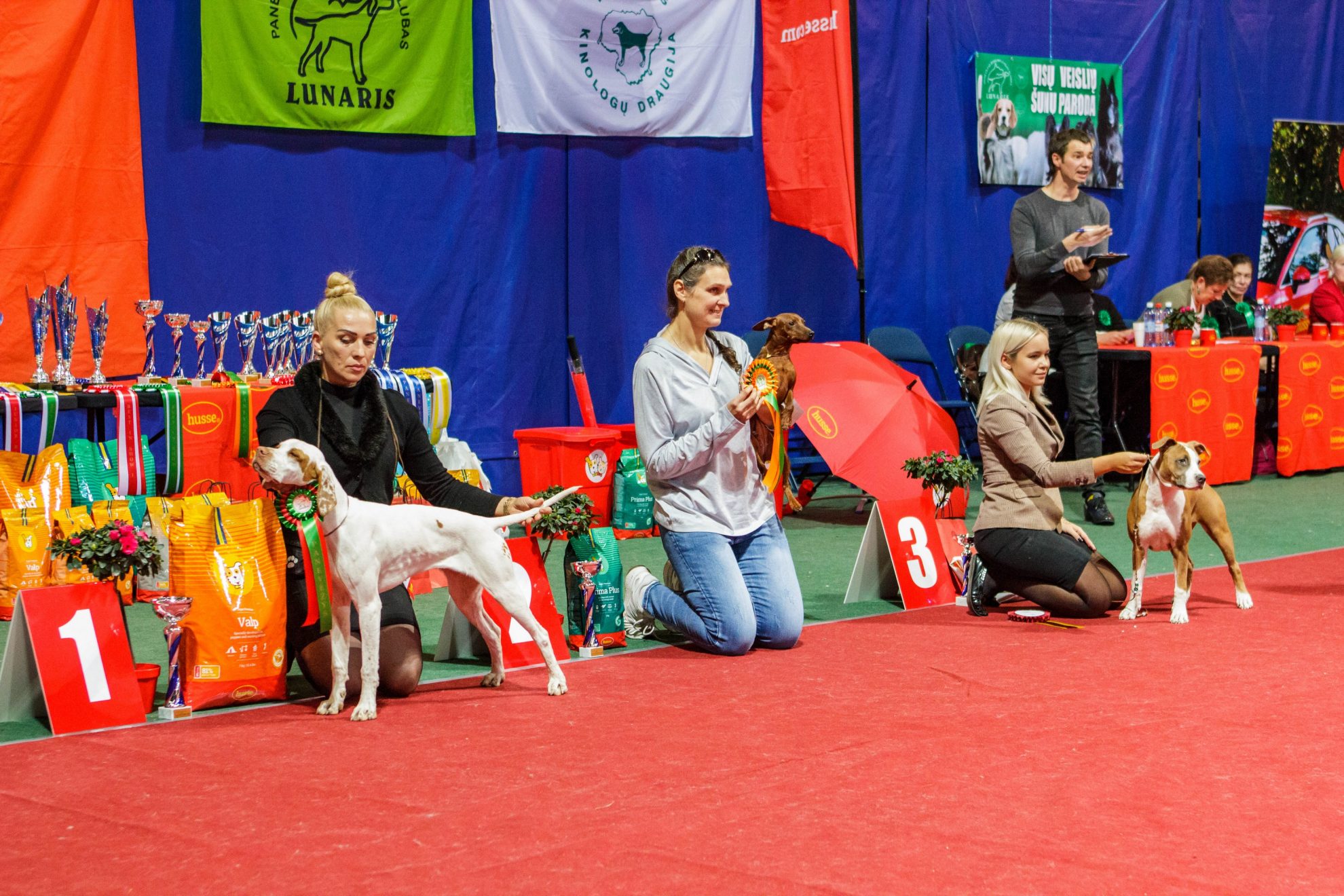 Panevėžio CIDO arenoje šeštadienį vyko šunų paroda.