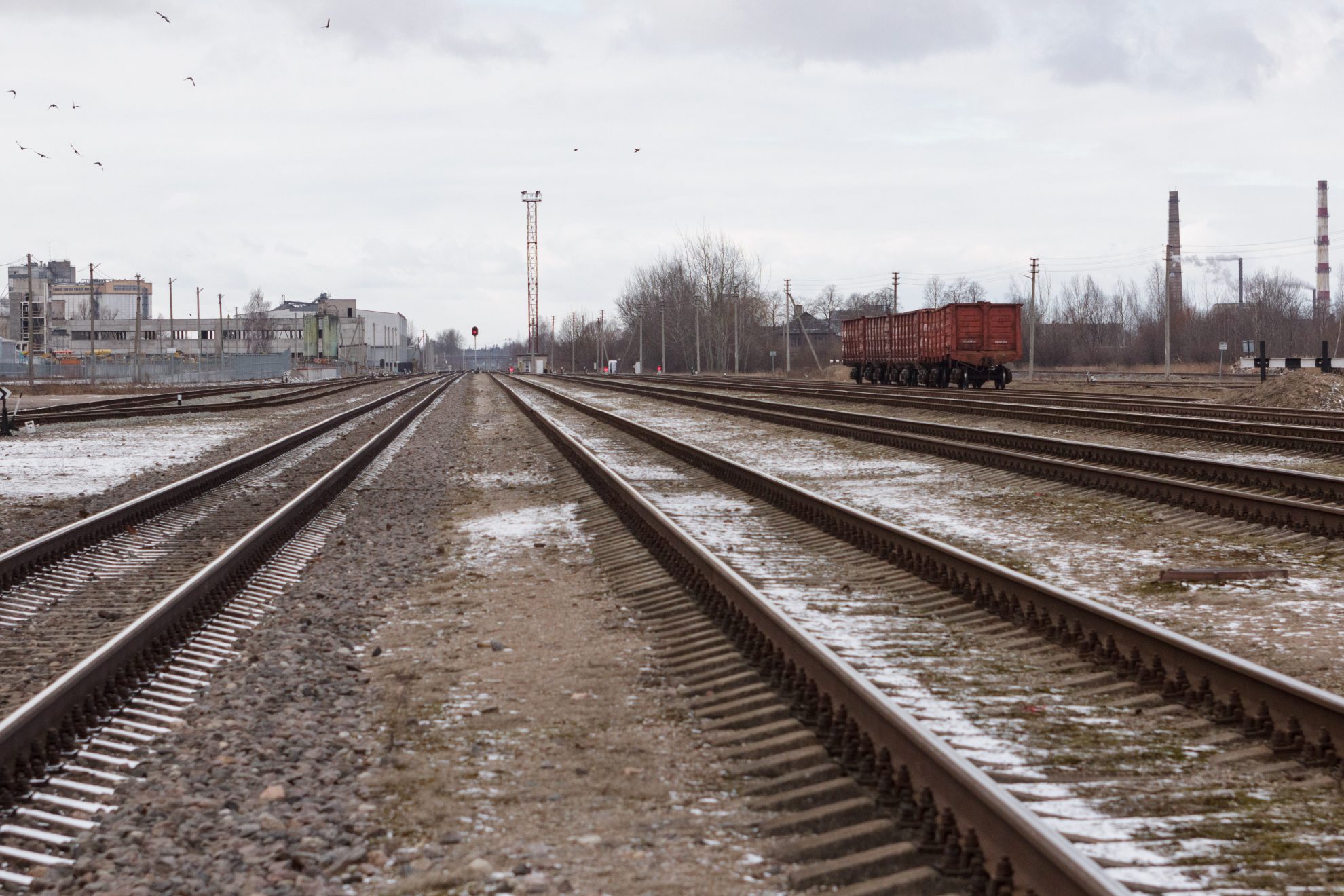 Susisiekimo ministerija sudarė galimybes ūkininkams laikinai naudotis visuomenės poreikiams išpirkta žeme, kurioje bus tiesiamas „Rail Baltica“ geležinkelis ir su juo susiję automobilių keliai. Nacionalinė žemės tarnyba informuota, kad nuo Kauno iki projektinio geležinkelio linijos 96,9 km ūkininkai galės naudotis žeme iki 2021 m. sausio 1 d., o nuo šio taško iki Lietuvos ir Latvijos sienos žemę dirbti bus galima iki 2022 m. sausio 1-osios.