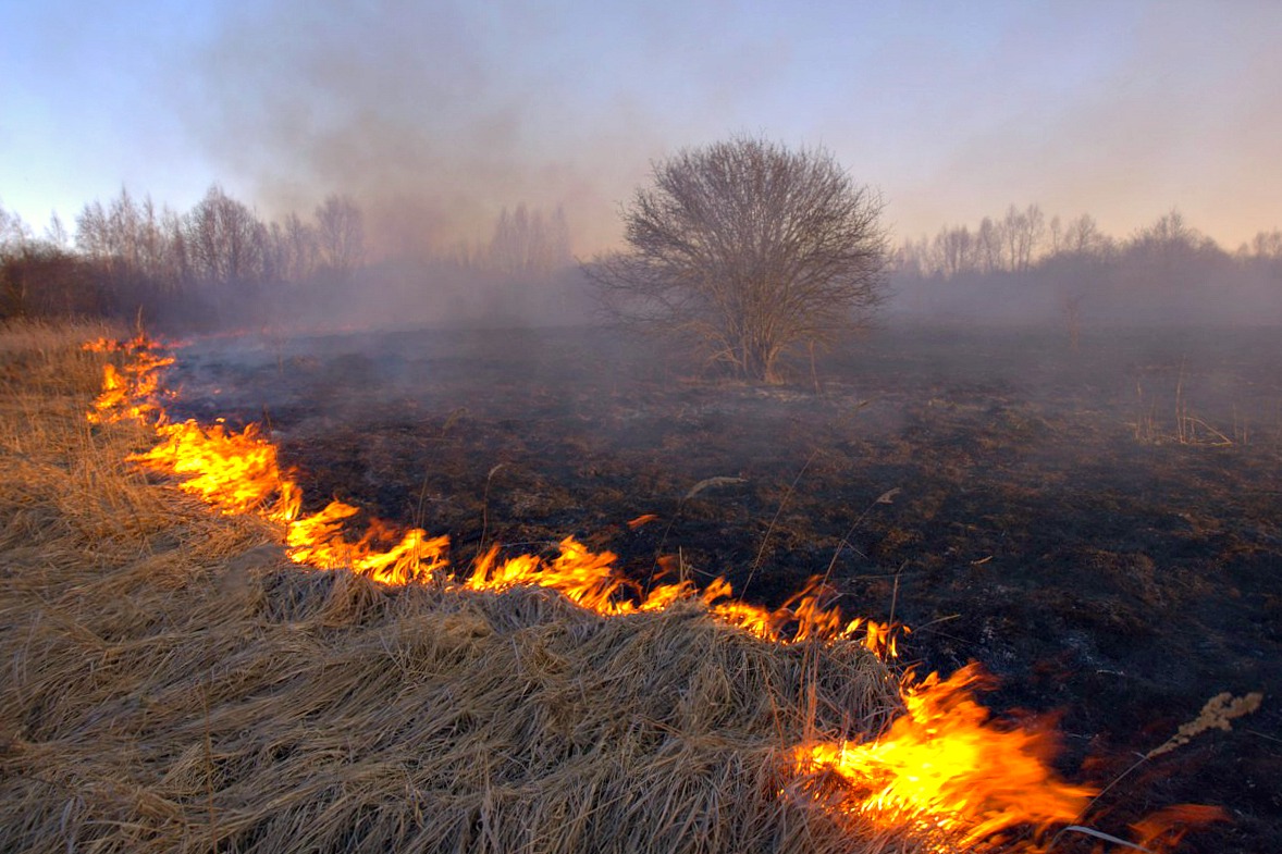 Per pastarąją parą ugniagesiai gesinti žolę visoje Lietuvoje vyko 138 kartus, įtariama, nuo šių gaisrų užsiliepsnojo keli ūkiniai pastatai.