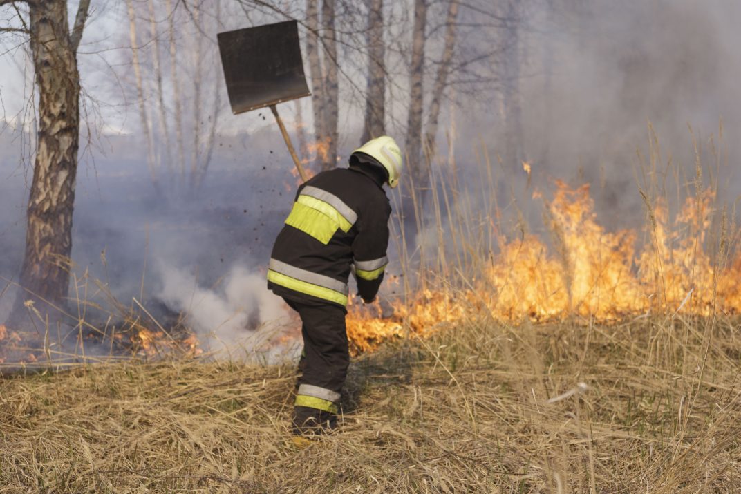 Šiemet ypač padaugėjo gaisrų atvirose teritorijose, išdegė beveik 2833 hektarai ploto, trečiadienį pranešė Priešgaisrinės apsaugos ir gelbėjimo departamentas (PAGD).