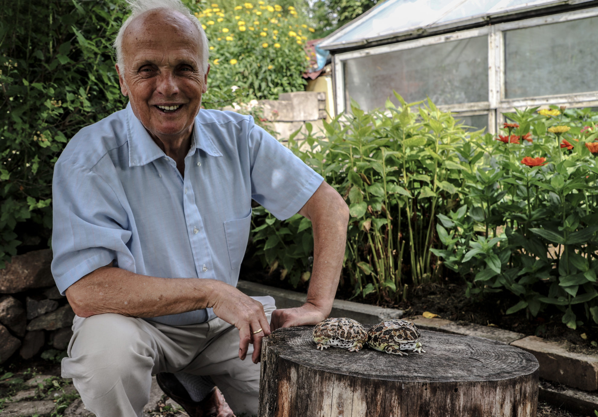 Garsusis Raguvos mokytojas Antanas Slučka ir išėjęs į pensiją nei katės, nei šuns neįsigijo – jam draugiją palaiko dvi gigantiškos varlės iš Argentinos, tarakonai, svirpliai.