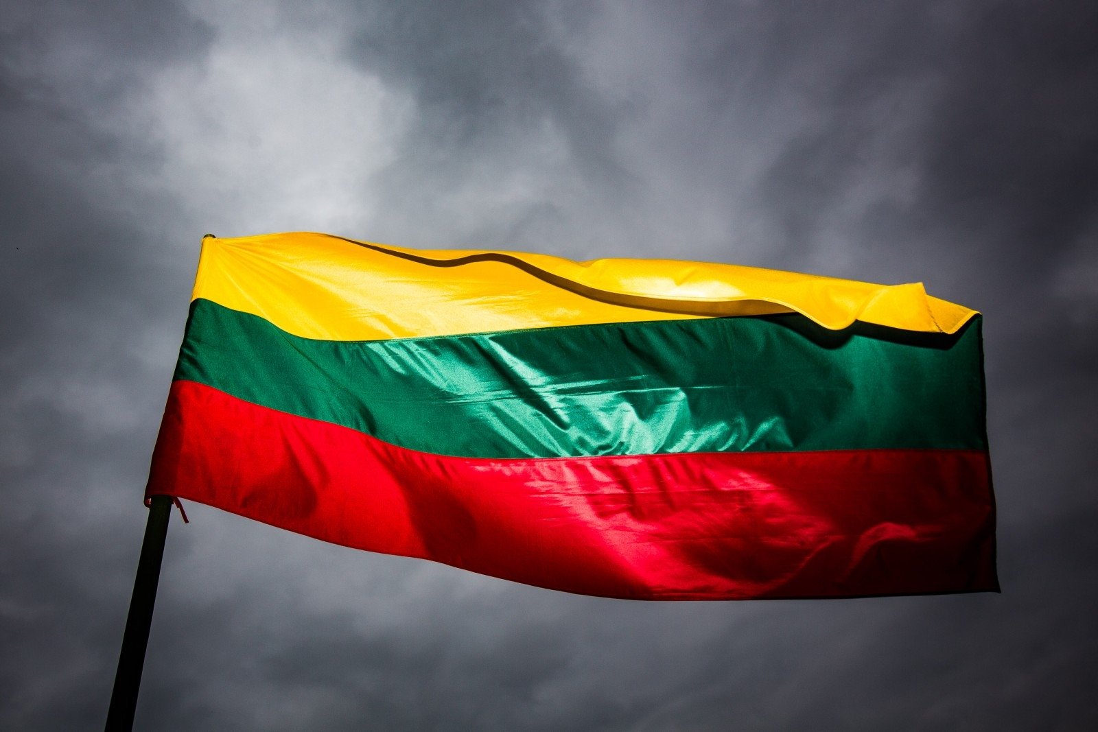 Lietuvos skyrius pašalintas iš tarptautinės nevyriausybinės organizacijos ICOMOS, besirūpinančios paminklų ir lankytinų vietų apsauga.