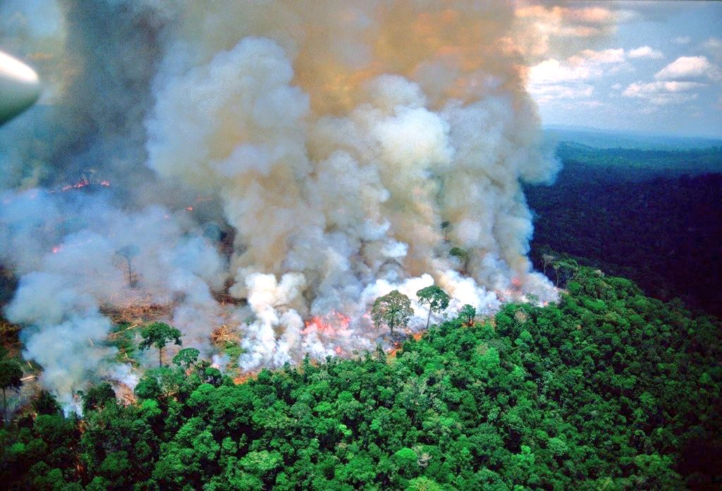 Australijoje vis dar siaučiantys gaisrai laikomi viena didžiausių šios šalies katastrofų per visą istoriją. Tačiau neaprėpiamame pasaulyje yra ir daugiau vietų, kurios buvo skaudžiai paliestos negailestingų ugnies liežuvių.