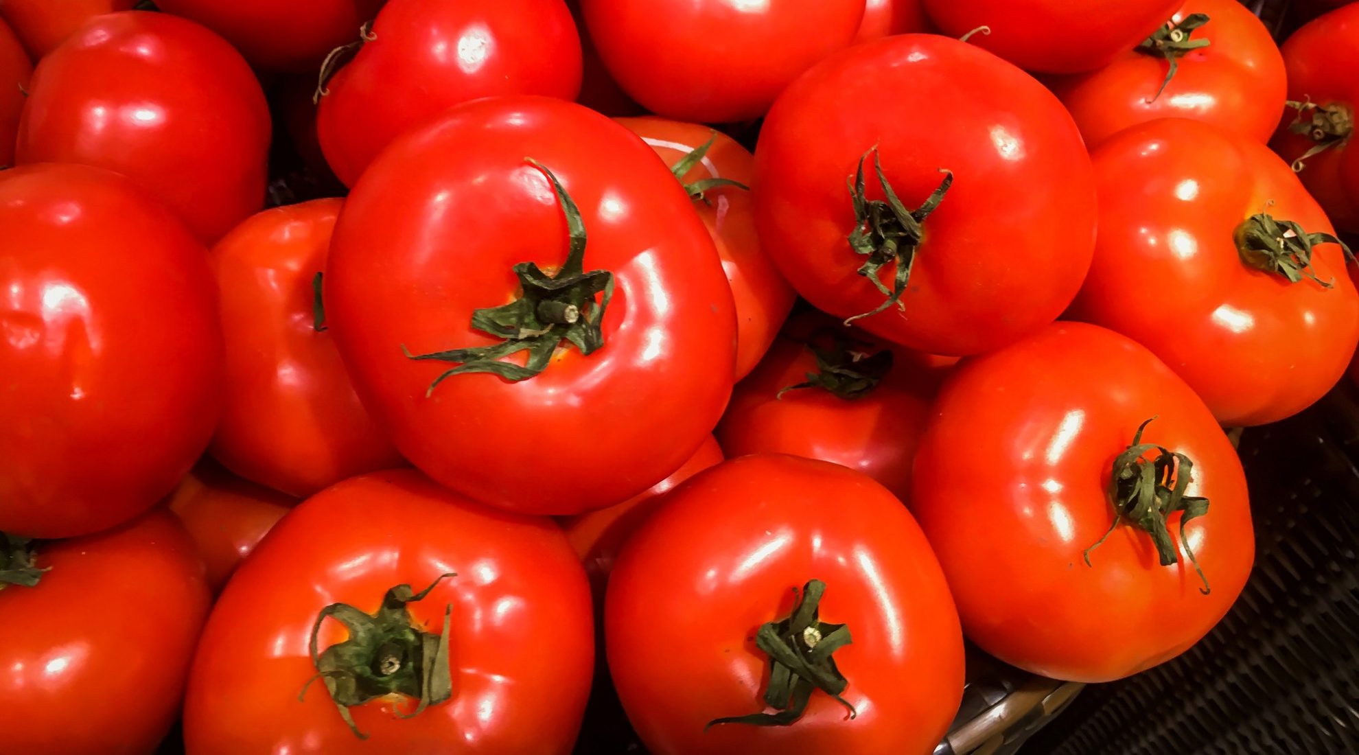 Pomidorai – viena populiariausių daržovių visame pasaulyje, panašiai kaip ir bulvė, mus pasiekė tik XVI amžiuje iš Pietų Amerikos. Didžiojoje Britanijoje ilgai laikyta nuodingu dekoratyviniu augalu, šiuo metu ji varžosi su kitomis daržovėmis savo sveikatai naudingomis savybėmis ir net vadinama supermaistu.