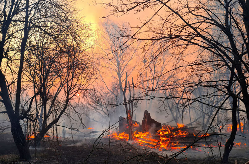 Рыжий лес Чернобыль. Рыжий лес Припять. Лесные пожары в Чернобыльской зоне (2020). Зона отчуждения Чернобыльской АЭС.