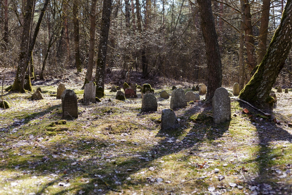 Jau ne vienerius metus savanoriai tvarko ir dokumentuoja senąsias žydų kapines – sparčiai nykstančią Lietuvos istorijos dalį.