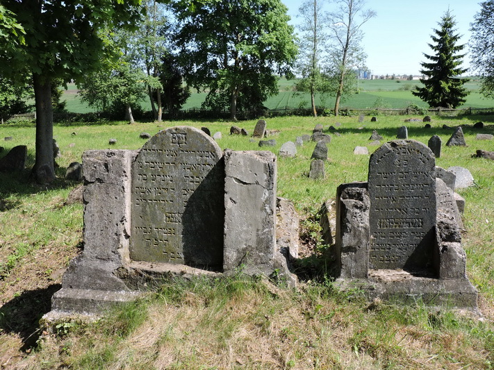 Pušaloto žydų kapinės – vienos iš nedaugelio, išlikusių Pasvalio krašte. G. BALČIŪNAIČIO nuotr. 