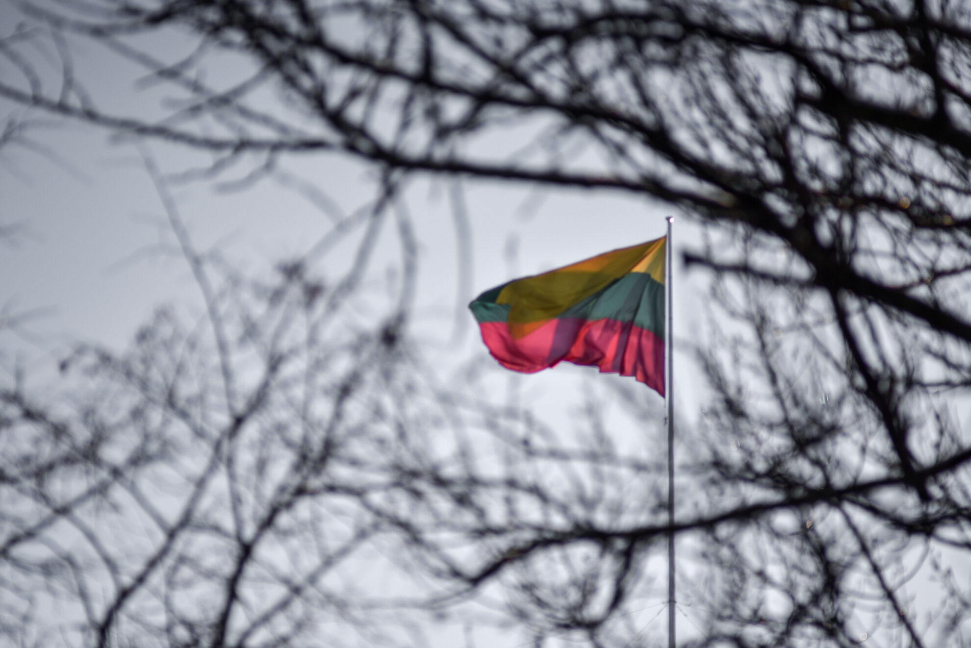 Penktadienį minint vėliavos dieną, Gedimino pilies bokšte Garbės sargybos kuopos kariai iškėlė naują Lietuvos valstybės vėliavą.