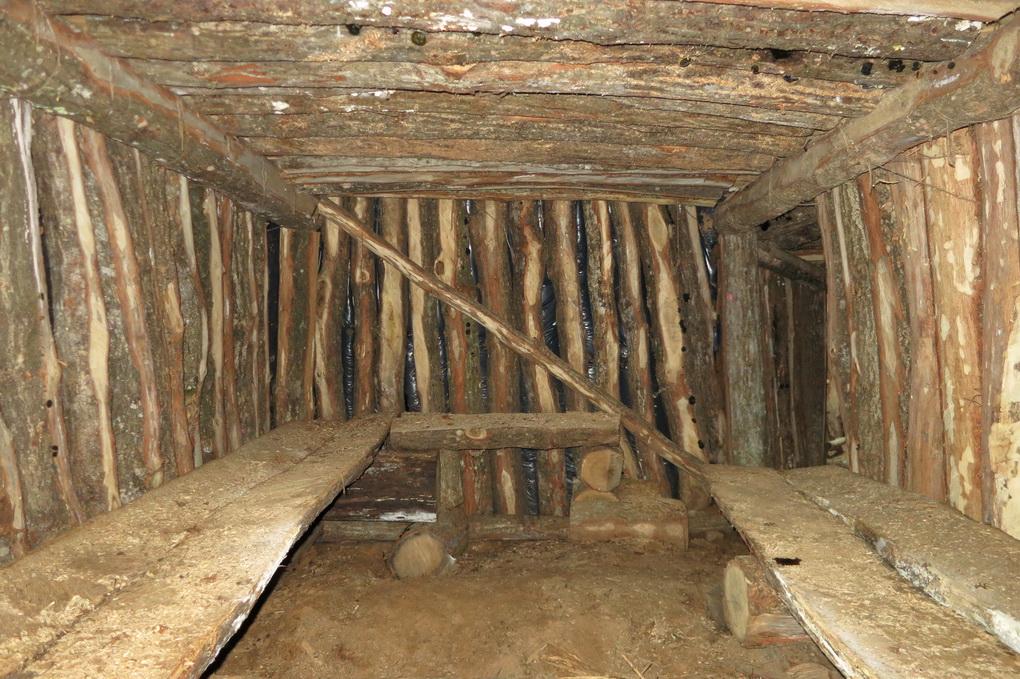 Dalį nuo partizaninio karo išlikusių statinių pavyksta atstatyti. Tarp jų – bunkerį Žaliojoje girioje. 2013-ieji. D. JUODŽIO nuotr.