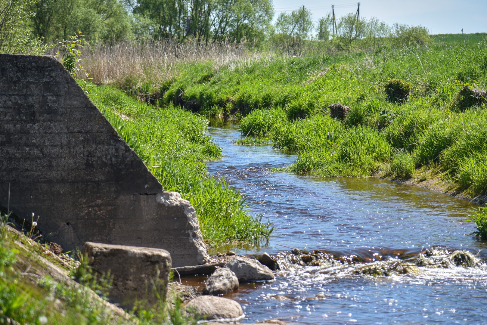Nusprendus upėms grąžinti senąsias jų vagas, Panevėžio rajone išardytos aštuonios užtvankos, vietinių vadintos kriokliais, bei supilti 306 bunomis vadinami pylimai.