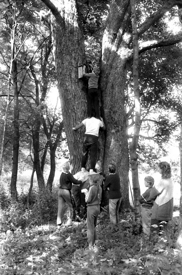 Žygeiviai kelia į medį koplytėlę. 1986 metai. V. BEINORTIENĖS ASMENINIO ARCHYVO nuotr.