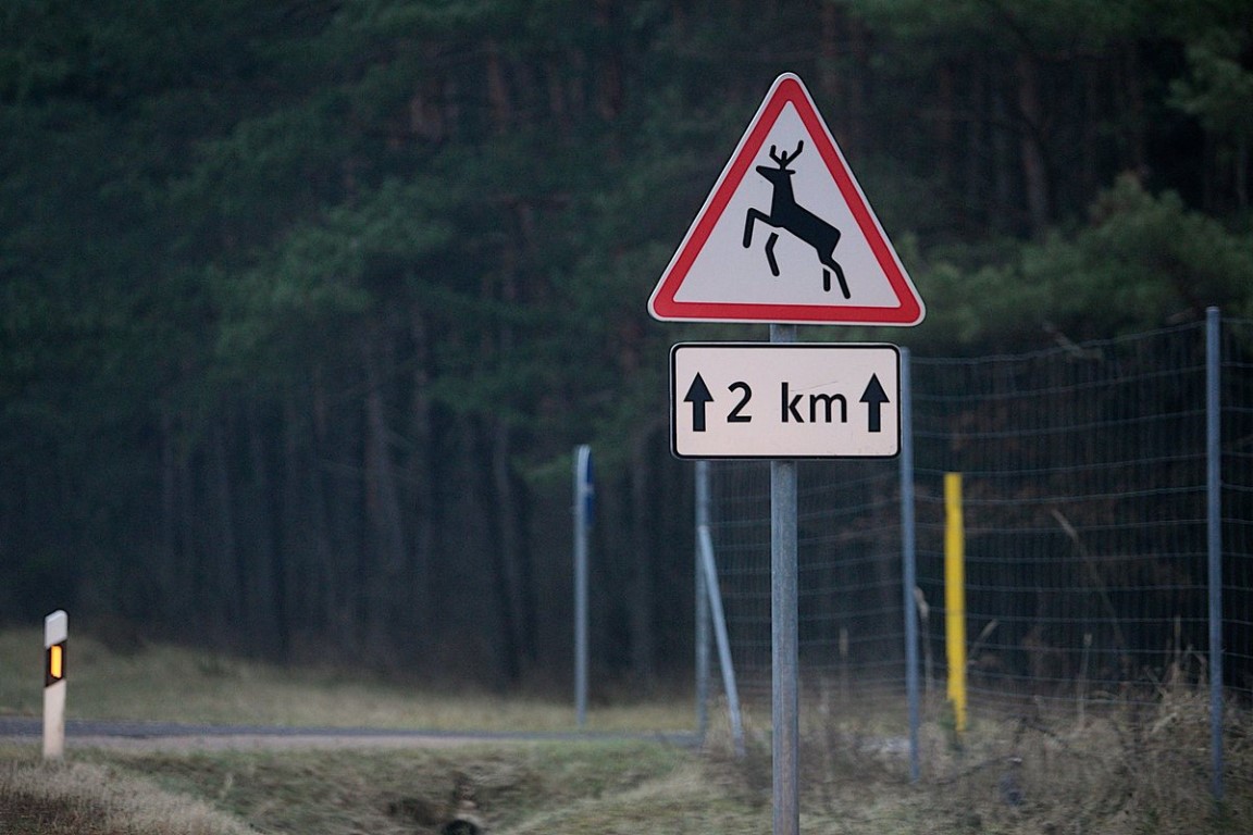 AB Lietuvos automobilių kelių direkcija (LAKD) praneša apie vykstančią gyvūnų migracija bei prašo vairuotojų būti atidiems keliuose, o ypač kelio ženklu „Laukiniai žvėrys“ pažymėtuose ruožuose.