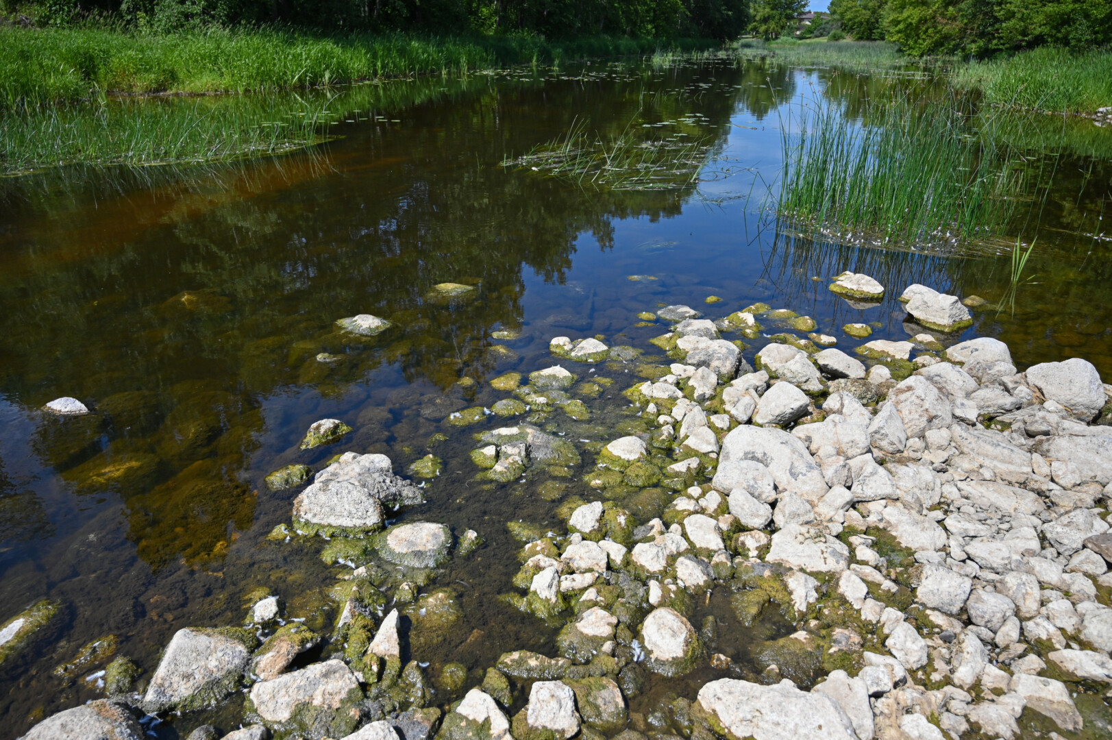 Lietuvos hidrometeorologijos tarnyba praneša, kad didžiojoje šalies teritorijos dalyje vandens telkiniai jau kurį laiką lokaliai buvo varginami hidrologinės sausros, o nuo liepos 17 d. hidrologinė sausra skelbiama visoje Lietuvoje.