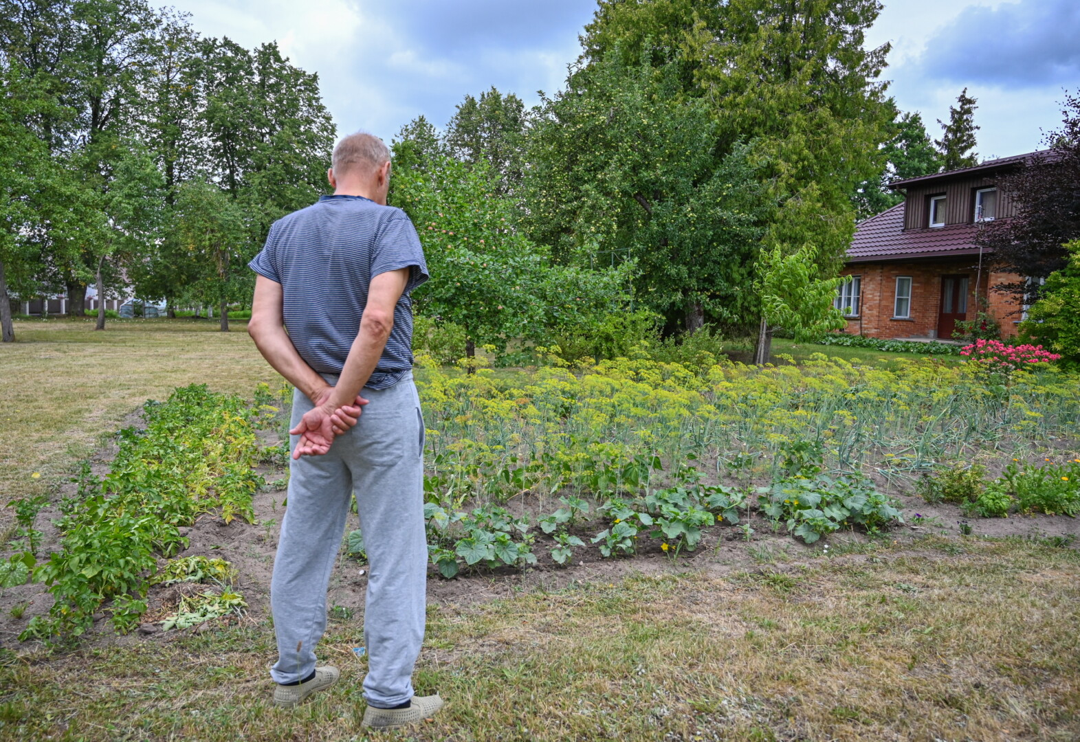 Karsakiškio gyventojai, nebeapsikenčiantys jų daržuose, uogynuose ir soduose skanėstų ieškančių danielių, pagalbos pasiryžę ieškoti net sostinėje – tam jau yra surinkę kelias dešimtis parašų. Gyvūnai, nors ir gražūs, jau ne vienus metus pridaro žalos kiemuose, o dabar vis dažniau pastebimi ir gatvėse.