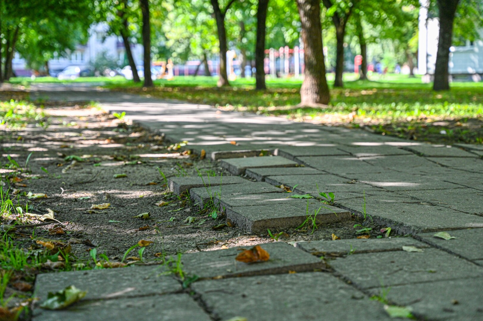 Panevėžyje pastaraisiais metais išgražėjus parkams, aikštėms, Savivaldybei vieną po kitos rekonstruojant gatves, panevėžiečiai laukia, kada eilė ateis ir šaligatviams.