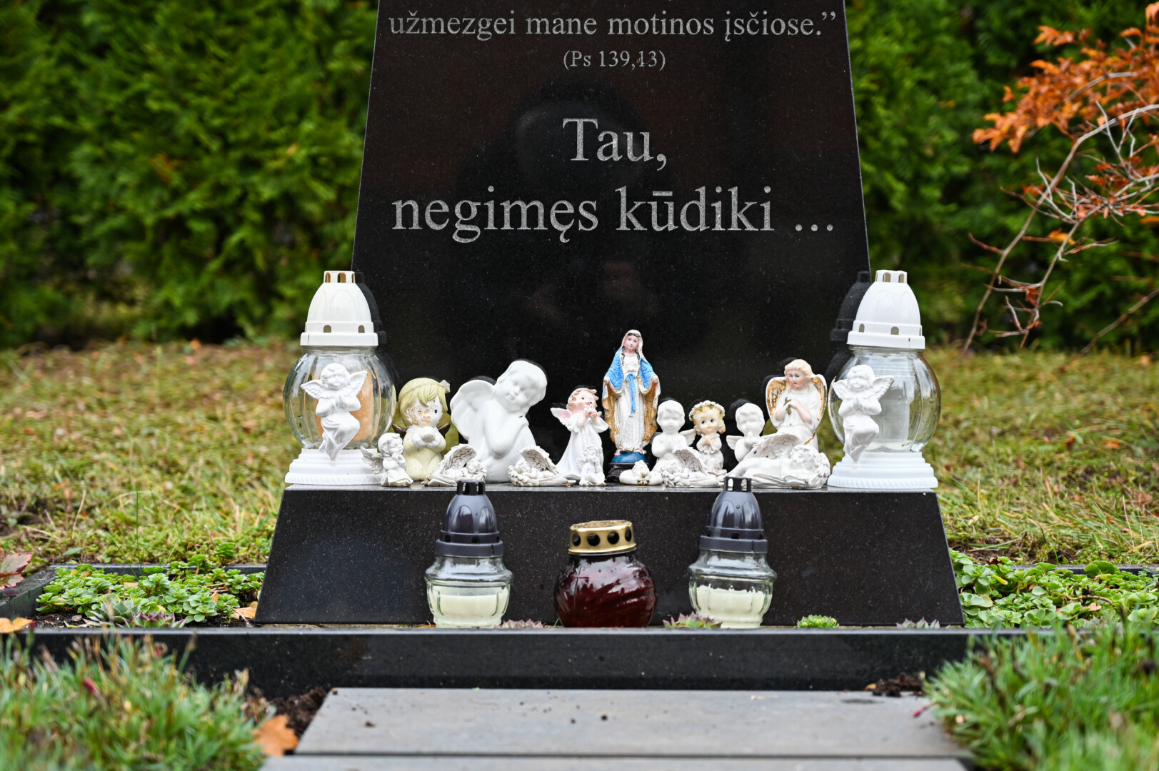Dvasiniu Lietuvos centru įvardijamoje Šiluvoje kitą pirmadienį vyks neįprastos laidotuvės. Į bendrą kapavietę atguls negimusių kūdikių palaikai.