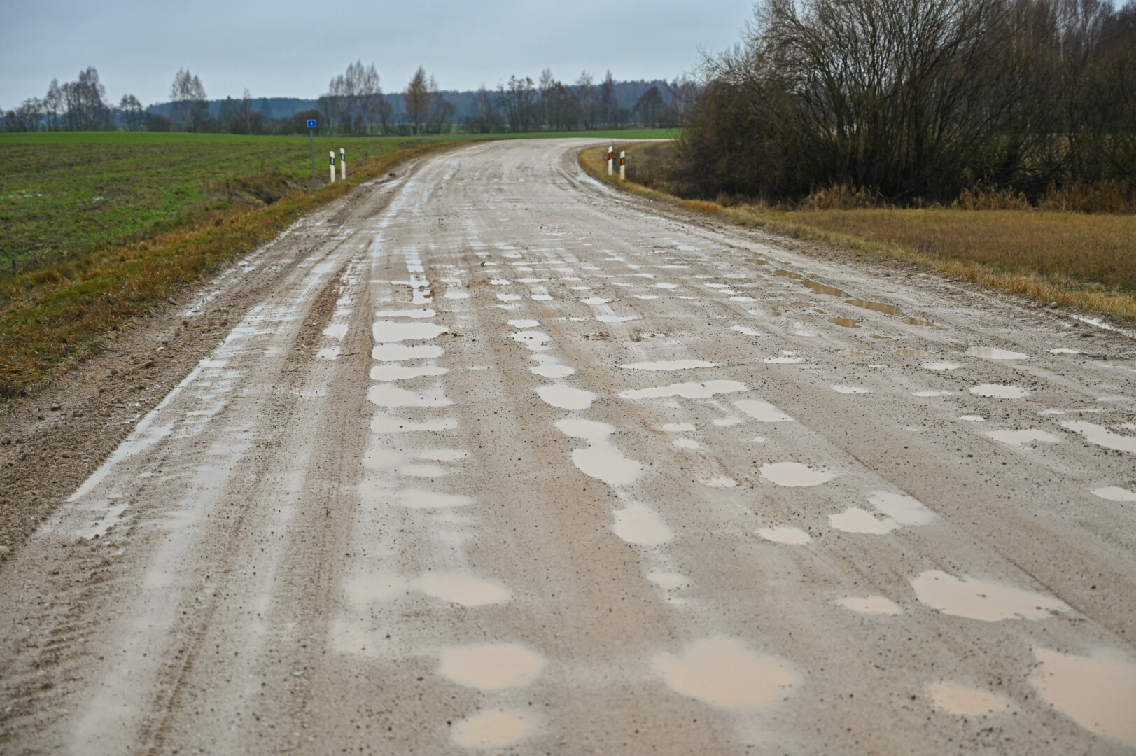 Atšilus orams Panevėžio rajone ne tik žvyrkeliai, bet ir asfaltuoti keliai tapo rimtu išbandymu vairuotojams.