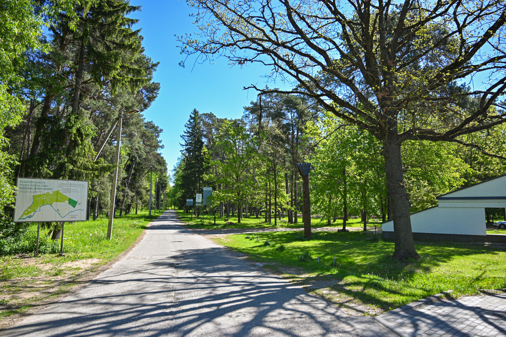 Visą straipsnį skaitykite gegužės 16 dienos (ketvirtadienio) „Sekundės“ laikraštyje. Prenumeruokite https://prenumerata.sekunde.lt/ – yra ir PDF formatu.