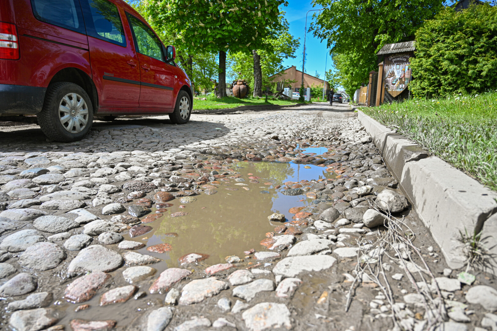 Viena iš įdomesnių vietų, kurią siūloma būtinai aplankyti į Panevėžį užsukantiems turistams – raktų uosis Birutės gatvelėje.