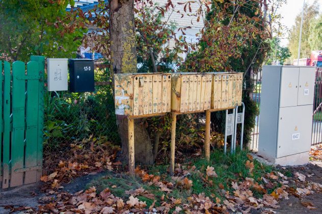 pasto-dezutes-04-virsus