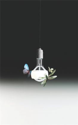 Ingo Maurerio šviestuvas „Johnny B. Butterfly“ – vienas iš daugelio šio dizainerio interpretacijų Edisono lemputės tema. Šį kartą lemputės formos šviestuvas dabinamas skraidančiais vabzdžiais.