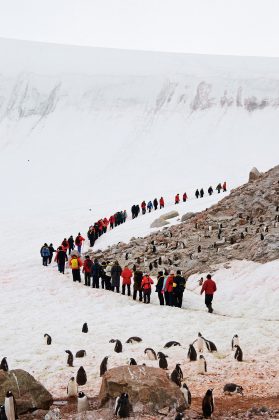 Ekskursijos Vieniems lankytojams pakanka įamžinti pingvinus, kiti trokšta patirti egzotiškesnių įspūdžių.