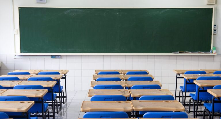 Panevėžyje nuo sausio 24 d. paskelbus gripo epidemiją, nemažai mokyklų nutraukia ugdymo procesą.