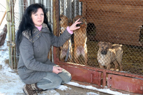 Panevėžio gyvūnų globos draugijos vadovė Rūta Liberienė primena, kad nelaimėn patekusiais gyvūnais rūpintis ir į pranešimus apie juos reaguoti turėtų Gyvūnų globėjų asociacija.