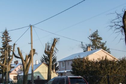 Specialistų teigimu, tai – visos šalies problema, nes medžiai ne tik pasmerkiami nunykti, bet ir tampa pavojingi, nes gali bet kada lūžti ar virsti.