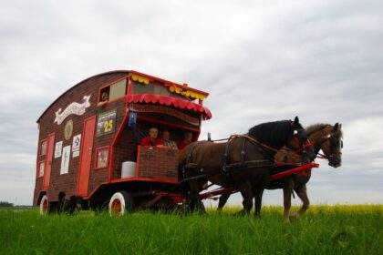 Panevėžio kultūros įstaigų vadovai gūžčioja pečiais.