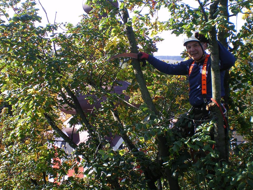 Lietuvos arboristų asociacijos direktorius R. Žilinskas įsitikinęs, kad baisiausia, ką galima medžiui padaryti genint, – palikti jį be viršūnės.