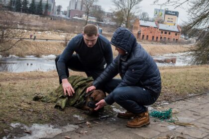 Šeštadienį apie vidurdienį išvydę į Nevėžio upę įkritusį ir negalinti išlipti keturkojį, du jauni vyrai nedvejoję šoko į ledinį vandenį gelbėti gyvūno.