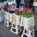 Vasario 14-ąją, Šv. Valentino, įsimylėjėlių dieną, Panevėžio apskrities policijos darbuotojai paminėjo netradiciškai