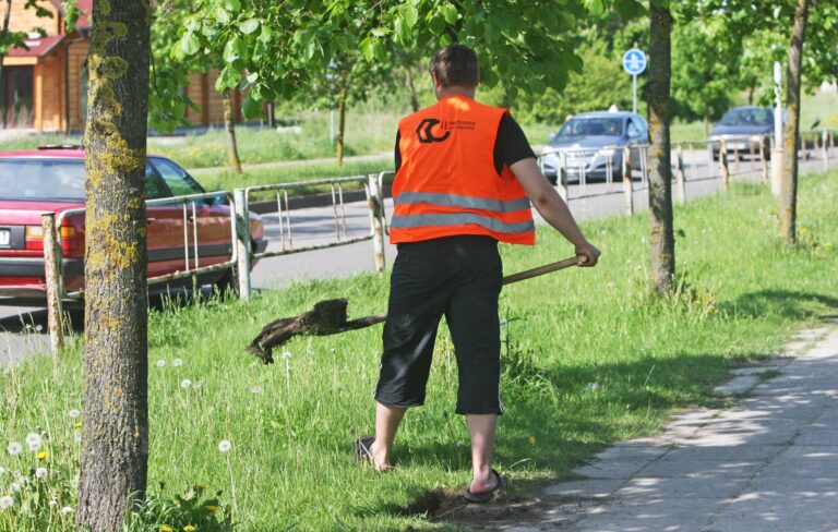 Panevėžio rajono Miežiškių seniūnui Albinui Jacevičiui artėjant vasarai gresia kabinetą iškeisti į pagriovį, o vietoj rašiklio paimti dalgį. Seniūnas sako, kad tai visai realu, jei bedarbiai nebebus siunčiami dirbti viešųjų darbų.