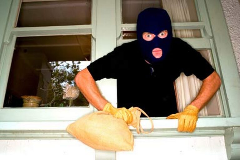 Įžūlumo nestokojantys vagys braunasi visur, kur tikisi surasti bent menką grobį.