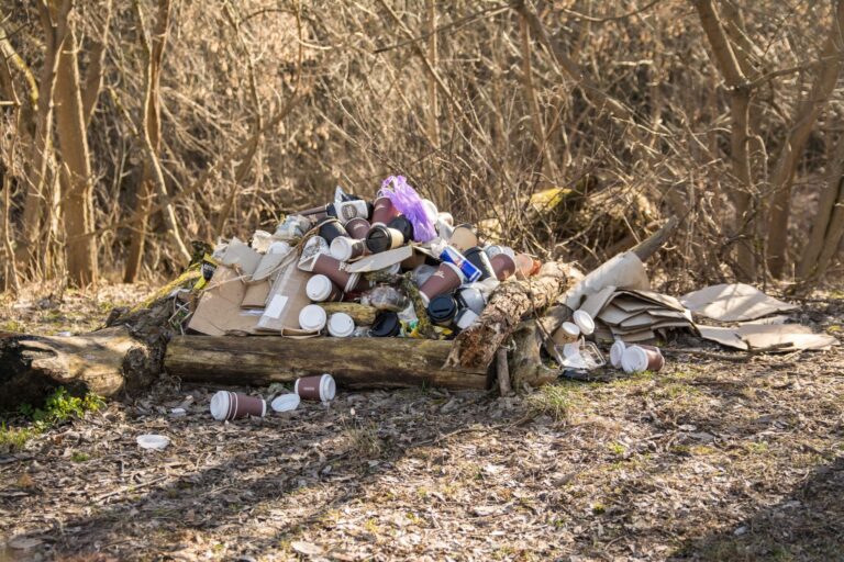 Nutirpęs sniegas panevėžiečius daugybę metų priversdavo aiktelėti išvydus kalnus šiukšlių, pūvančius lapus, butelius ir šunų ekskrementus.