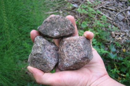 Santykiams tarp kaimynų išsiaiškinti kartais žodžių neužtenka. Tik kažin, ar siautėdamas savo tiesą galėjo įrodyti 36 metų Rokiškio rajono gyventojas.