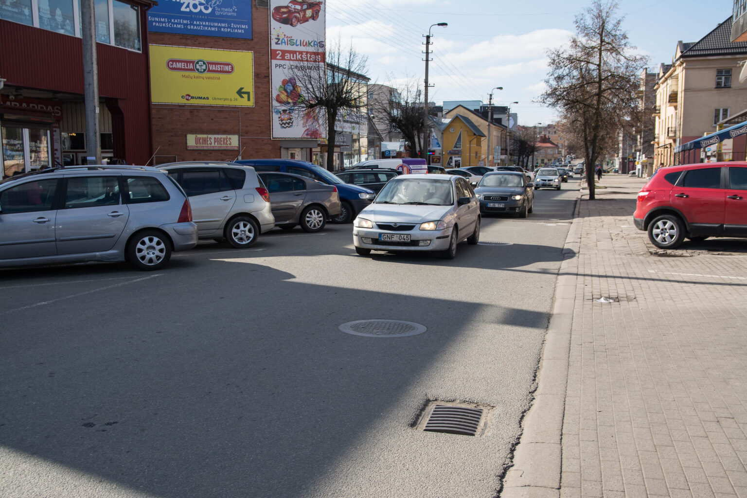 Tapo įprasta, kad ankstyvą pavasarį, vos nutirpus sniegui ir dar nespėjus sužaliuoti medžiams, miestiečių nuotaiką temdo užterštas oras mieste.