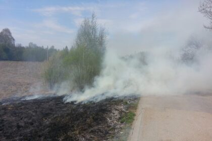 Šeštadienio popietę ugniagesiams skubėjus gesinti vieno pirmųjų šį sezoną žolės degintojų sukeltų gaisrų vakarinėje miesto dalyje, už prekybos ir pramogų centro „Ryo“, aplinkosaugininkai įspėja apie tokio elgesio pasekmes.