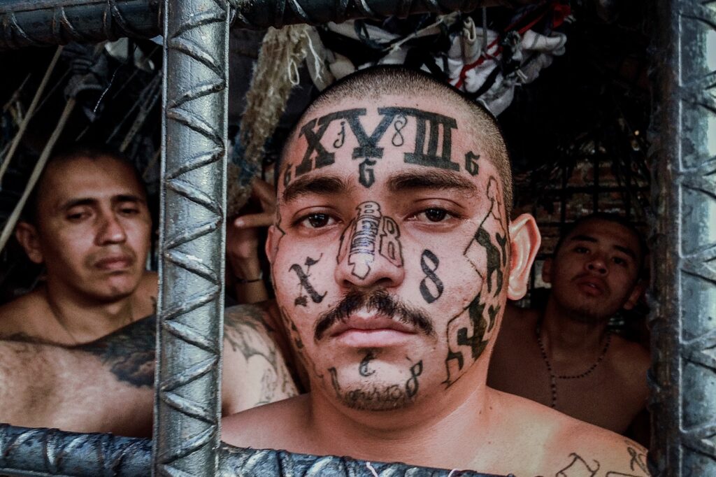 Tatuiruotės daugiausia daromos ant turtinius ir disponavimo ginklais nusikaltimus padariusių asmenų. Seksualiniai nusikaltėliai jų turi mažiausiai.