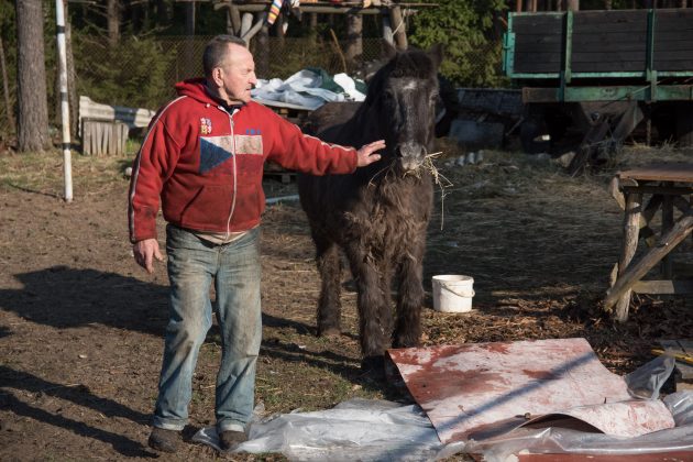  Lauke vaikštantis arklys po žiemos buvo visai nešukuotas, apleistas ir šeimininko nė neregistruotas.