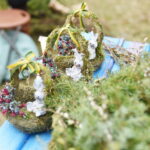 Verbų sekmadienis Panevėžyje. M. BLINSTRUBYTĖS nuotr.