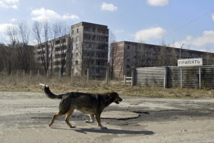 Prieš trisdešimt vienerius metus dalyvavę likviduojant Černobylio avariją žmonės to pasekmes jaučia iki šiol, tai atsiliepia ir jų šeimoms.