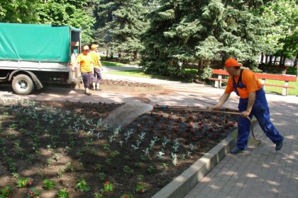 Gėlynams prižiūrėti miesto Savivaldybė šįmet skirs daugiau lėšų nei praėjusiais metais, tačiau naujų puošmenų viešosiose erdvėse padaugės tik minimaliai.